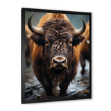 Buffalo National Photo - Bison Wall Art Prints
