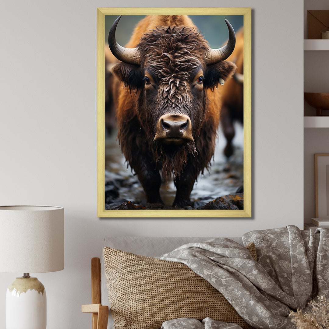 Buffalo National Photo - Bison Wall Art Prints