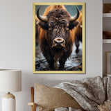 Buffalo National Photo - Bison Wall Art Prints