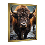 Buffalo National Photo - Bison Wall Art Prints