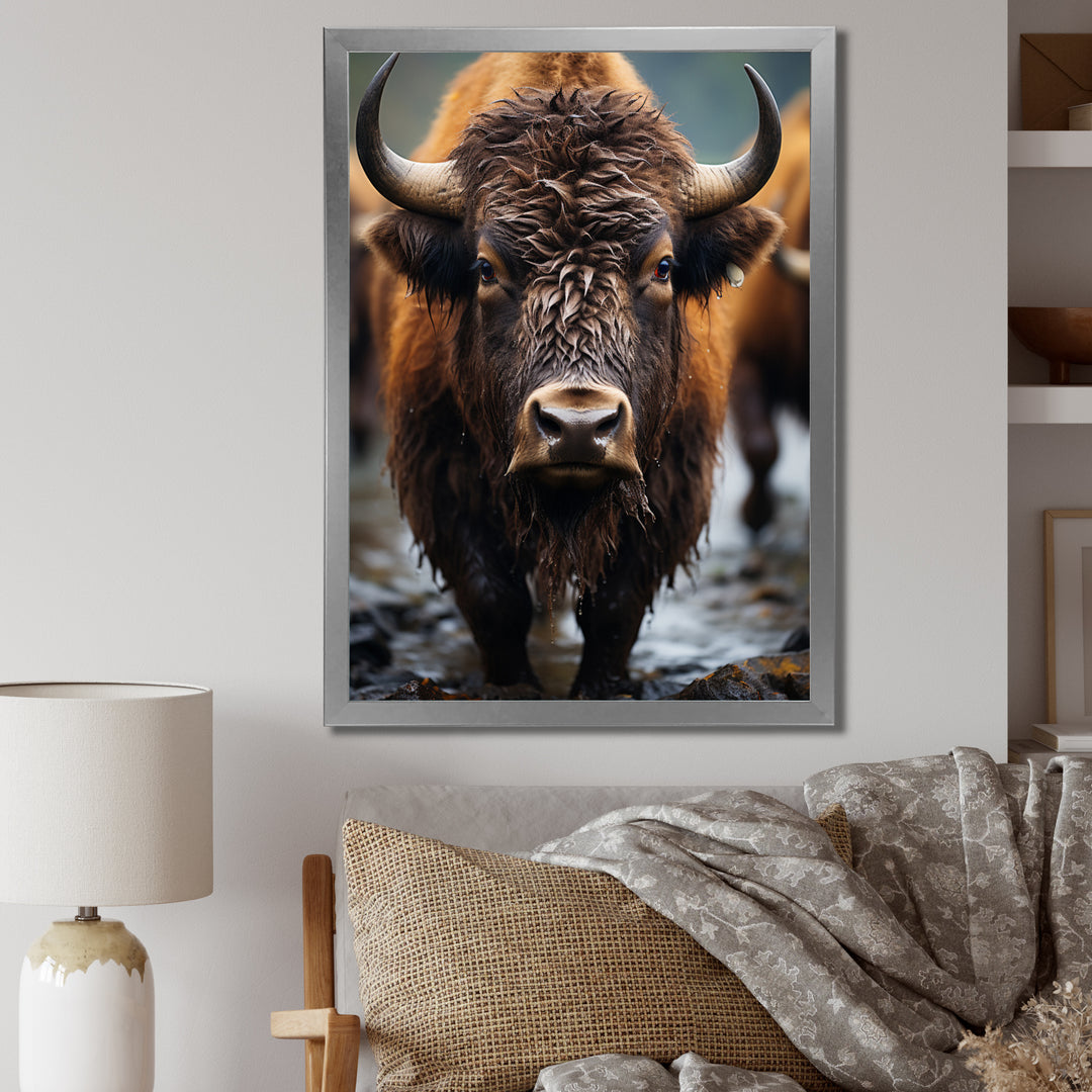Buffalo National Photo - Bison Wall Art Prints