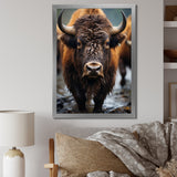 Buffalo National Photo - Bison Wall Art Prints
