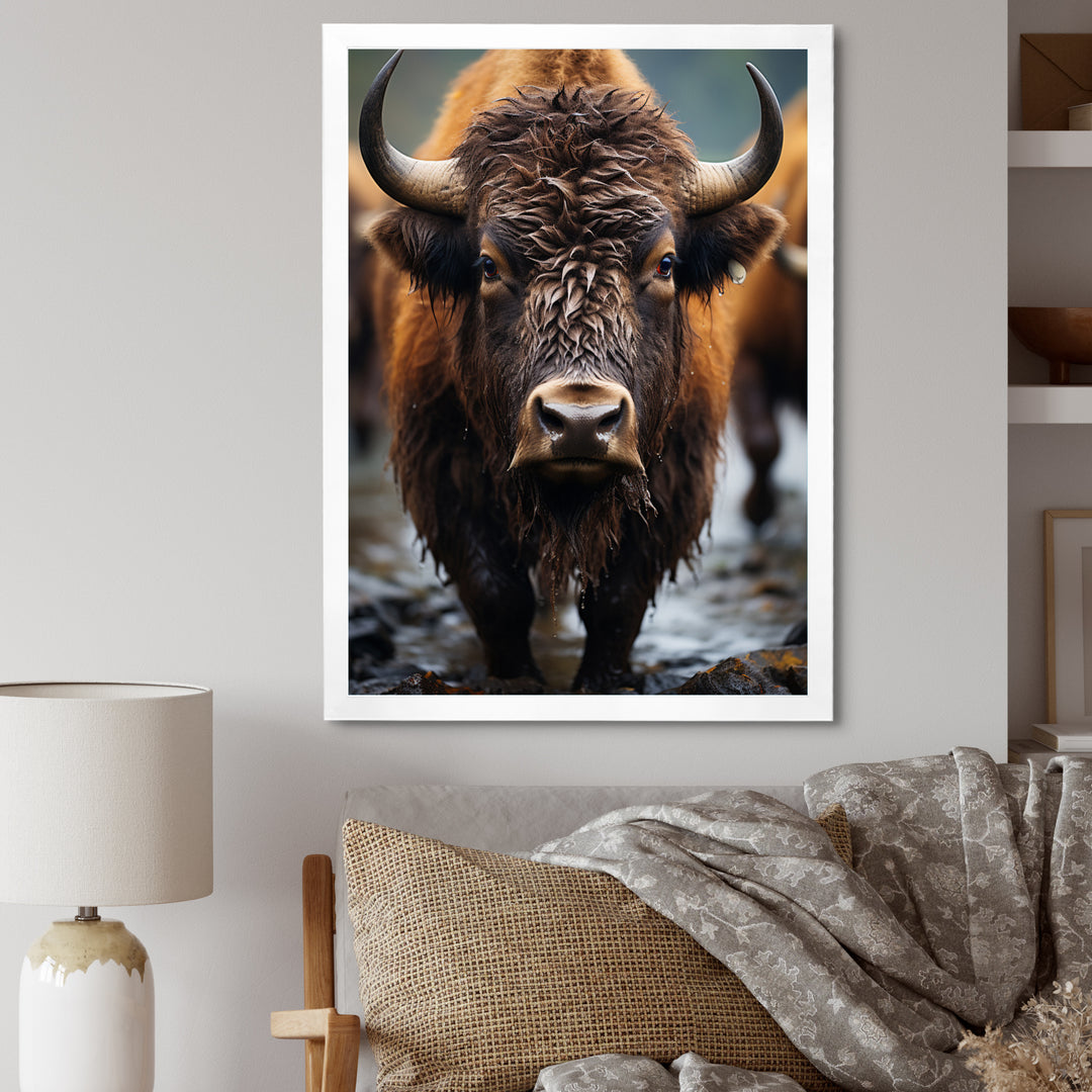 Buffalo National Photo - Bison Wall Art Prints