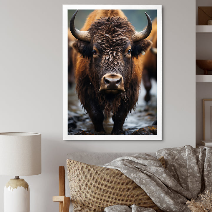 Buffalo National Photo - Bison Wall Art Prints
