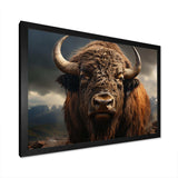 Buffalo Portrait - Animals Canvas Wall Art