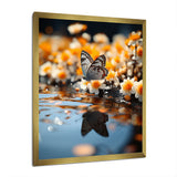 Orange Butterfly Floating Wonder - Butterfly Wall Art Prints