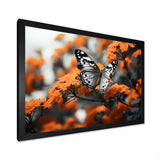 Coral Black Butterfly Fluttering Grace - Coral Butterfly Wall Art