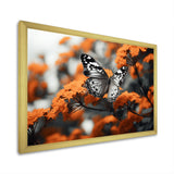 Coral Black Butterfly Fluttering Grace - Coral Butterfly Wall Art