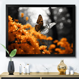 Orange Grey Butterfly Fluttering Grace - Orange Butterfly Wall Art