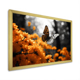 Orange Grey Butterfly Fluttering Grace - Orange Butterfly Wall Art