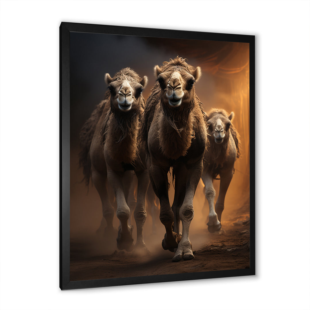 Camels Desert Symphony - Camel Wall Decor