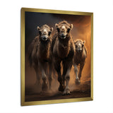 Camels Desert Symphony - Camel Wall Decor