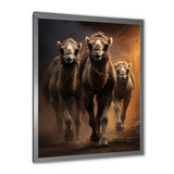 Camels Desert Symphony - Camel Wall Decor
