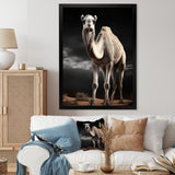 Camel Graceful Steps - Camel Framed Canvas Art