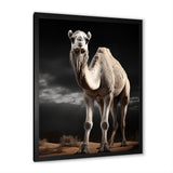Camel Graceful Steps - Camel Framed Canvas Art