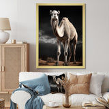 Camel Graceful Steps - Camel Framed Canvas Art