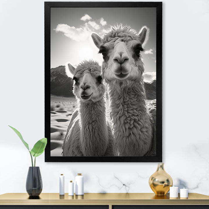 Camel Harmony In Monochrome - Camel Large Canvas Wall Art