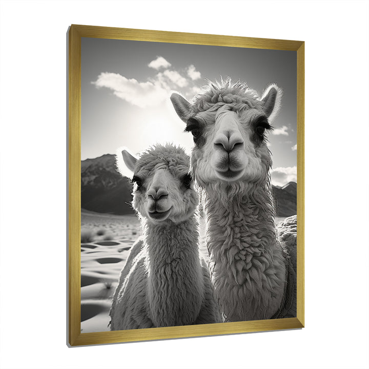 Camel Harmony In Monochrome - Camel Large Canvas Wall Art