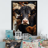 Cattle Animal - Cattle Canvas Wall Art