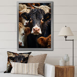 Cattle Animal - Cattle Canvas Wall Art