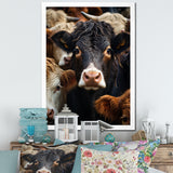 Cattle Animal - Cattle Canvas Wall Art