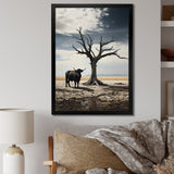 Cattle Guardians Of Deserts - Cattle Wall Art Prints