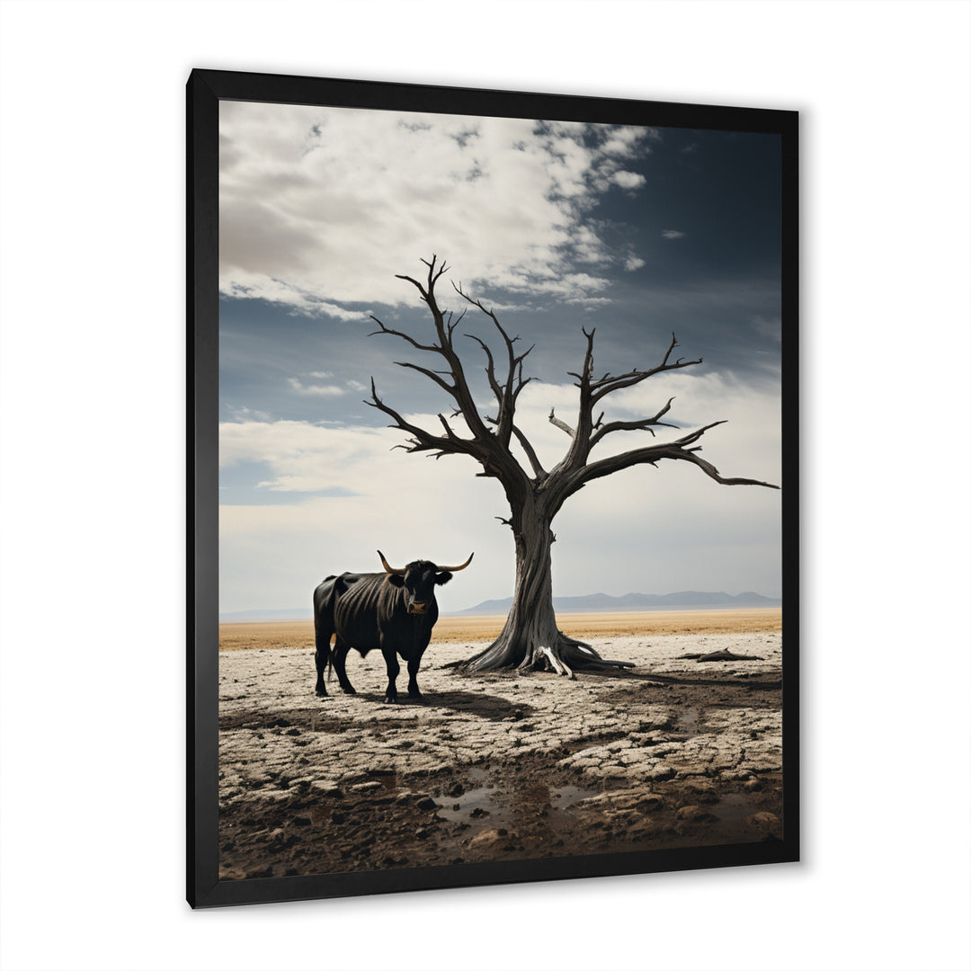 Cattle Guardians Of Deserts - Cattle Wall Art Prints