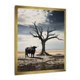 Cattle Guardians Of Deserts - Cattle Wall Art Prints