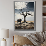 Cattle Guardians Of Deserts - Cattle Wall Art Prints