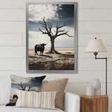 Cattle Guardians Of Deserts - Cattle Wall Art Prints