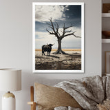 Cattle Guardians Of Deserts - Cattle Wall Art Prints
