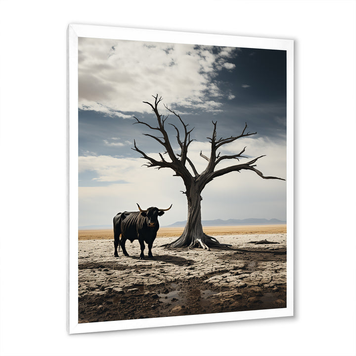 Cattle Guardians Of Deserts - Cattle Wall Art Prints