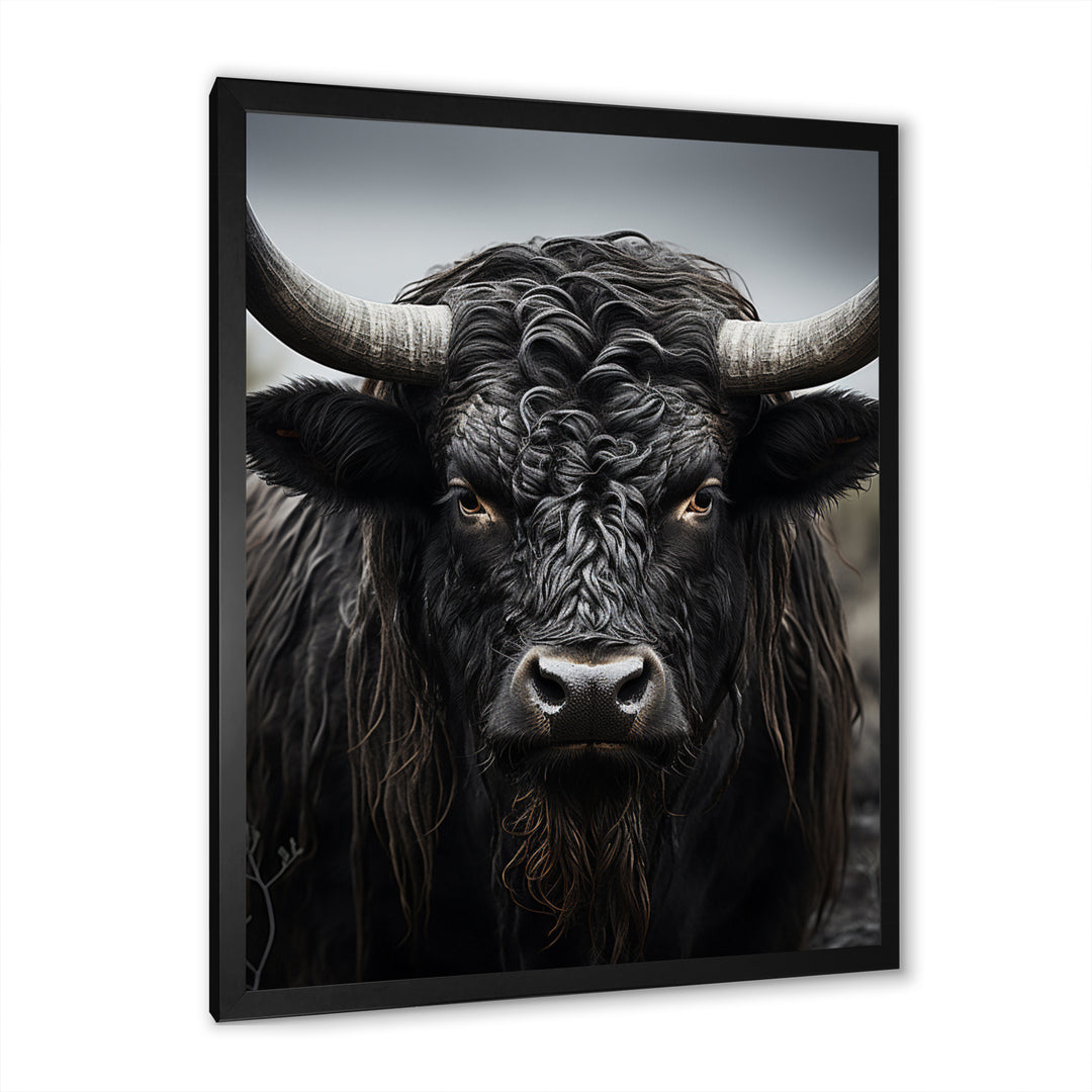 Cattle Majestic Horns - Cattle Framed Canvas Art