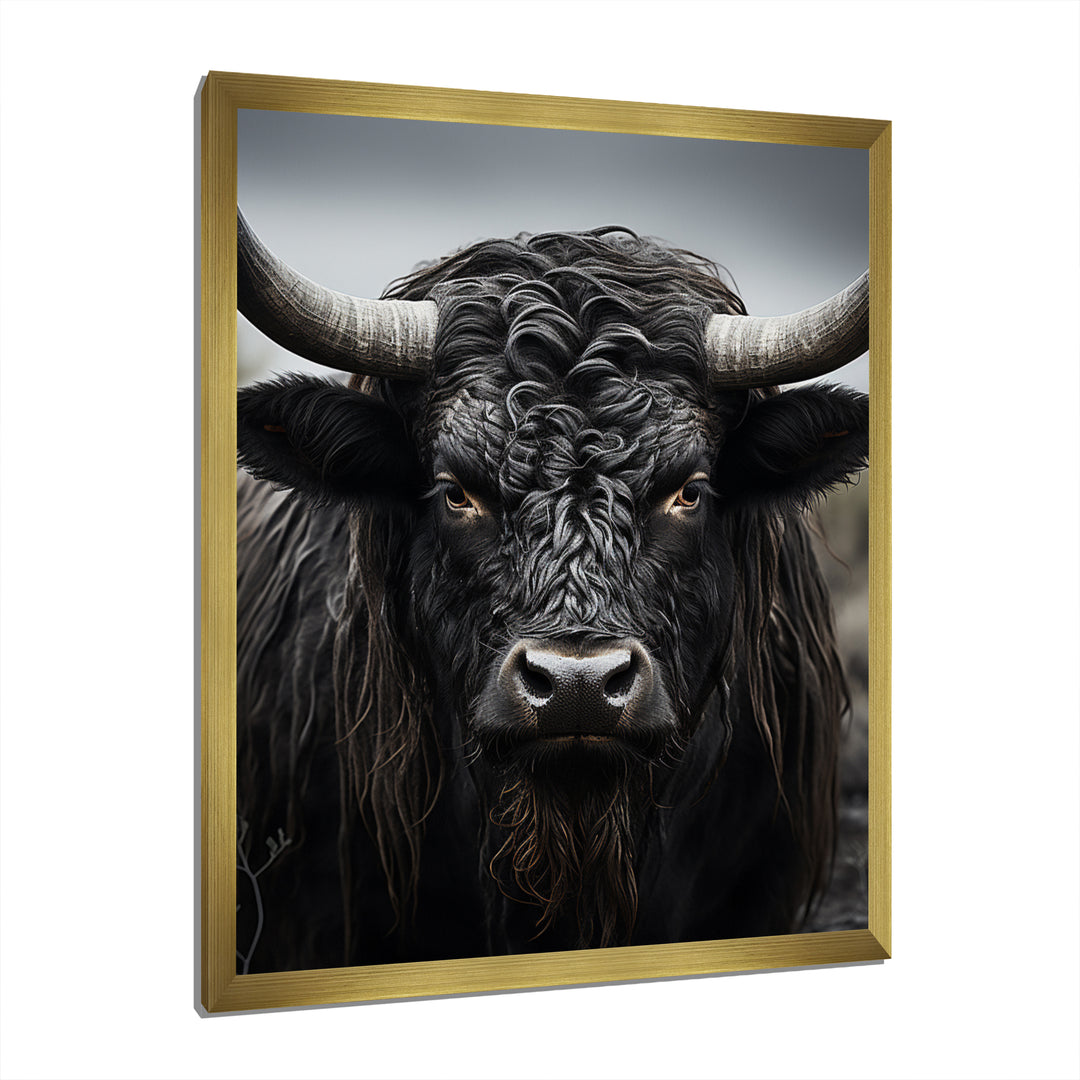 Cattle Majestic Horns - Cattle Framed Canvas Art