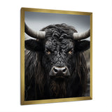 Cattle Majestic Horns - Cattle Framed Canvas Art