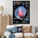 Blue Clam Dappled Depths - Clam Living Room Wall Art