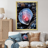 Blue Clam Dappled Depths - Clam Living Room Wall Art