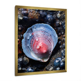 Blue Clam Dappled Depths - Clam Living Room Wall Art