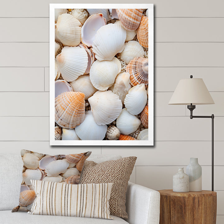 White Clam Nautical Treasures - Clam Wall Decor