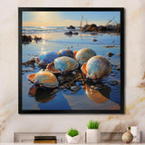 Clam Twilight Treasures - Clam Canvas Wall Art