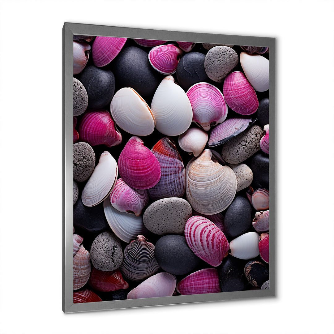 Pink Grey Pink White Shells Seashore Collage - Seashell Wall Art Prints