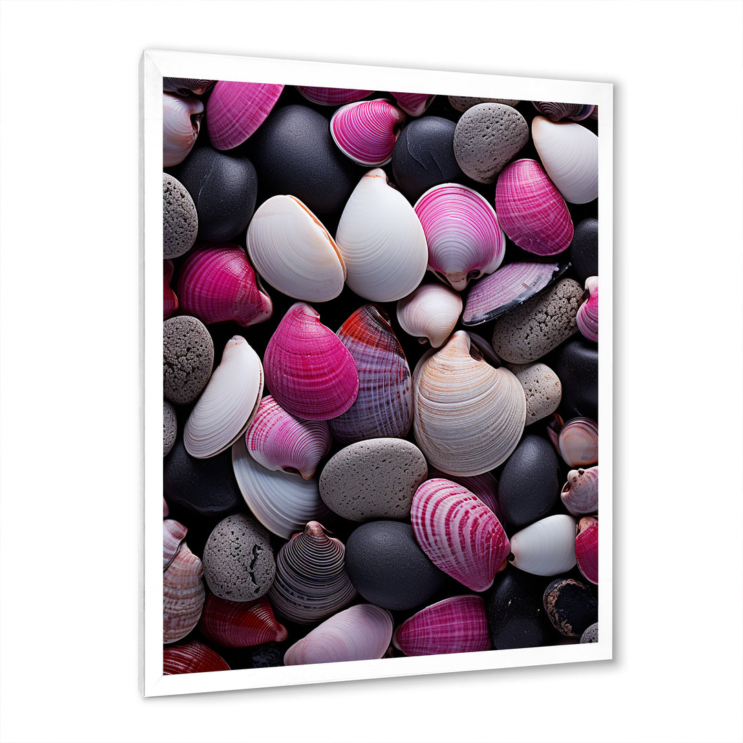 Pink Grey Pink White Shells Seashore Collage - Seashell Wall Art Prints