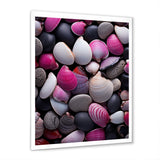 Pink Grey Pink White Shells Seashore Collage - Seashell Wall Art Prints