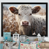 Cow Portrait Photography - Cow Home Decor Art