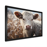 Cow Portrait Photography - Cow Home Decor Art