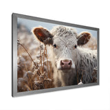 Cow Portrait Photography - Cow Home Decor Art