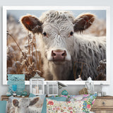 Cow Portrait Photography - Cow Home Decor Art
