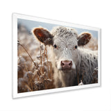 Cow Portrait Photography - Cow Home Decor Art