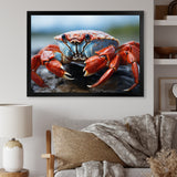 Crab Coastal Guardian - Crab Wall Art Prints