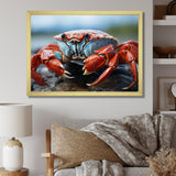 Crab Coastal Guardian - Crab Wall Art Prints